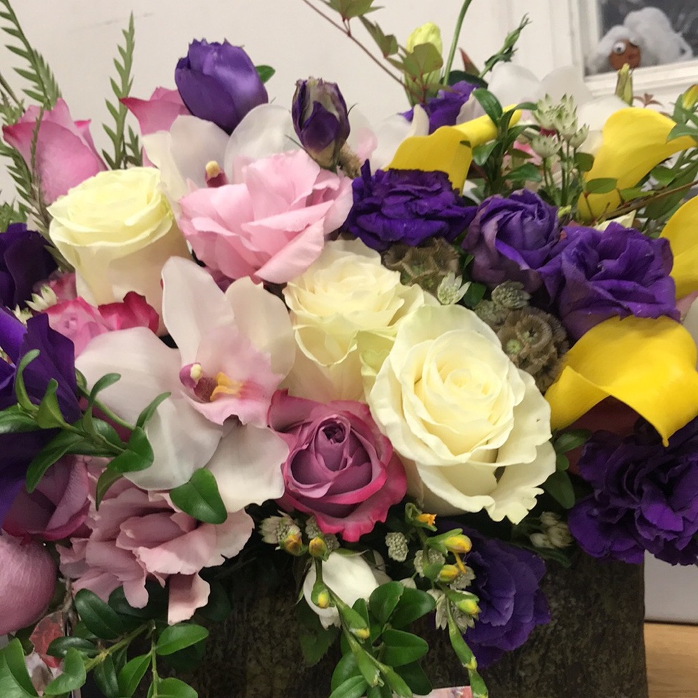 Meet your Posher, Sunny